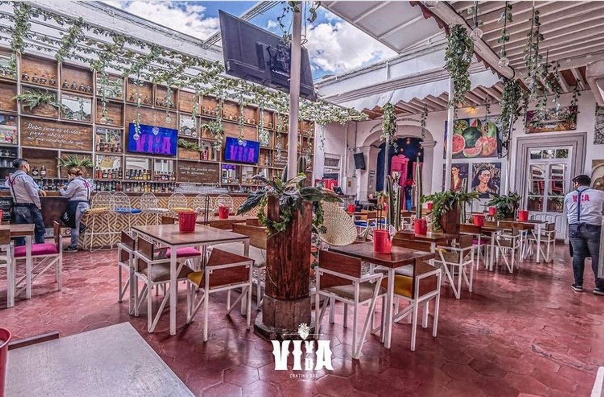 Restaurantes Viva La Vida - Cantina Bar