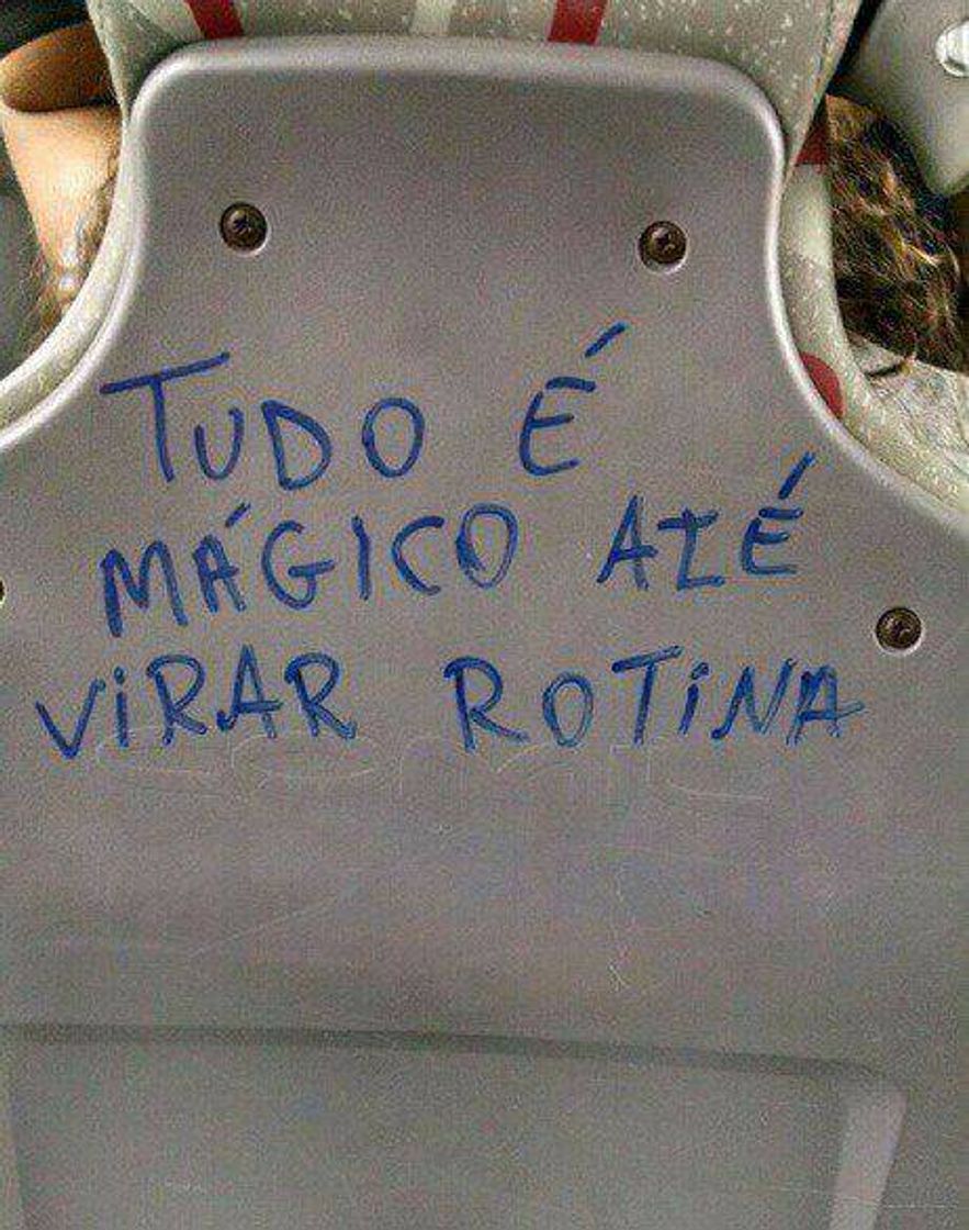 Moda frase no ônibus 