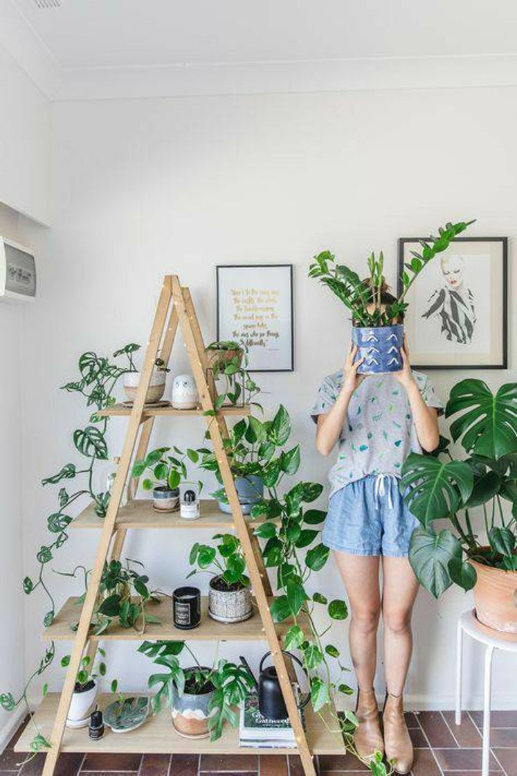 Moda Estante para plantas