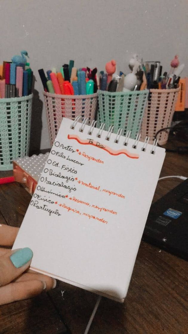 Fashion Organização