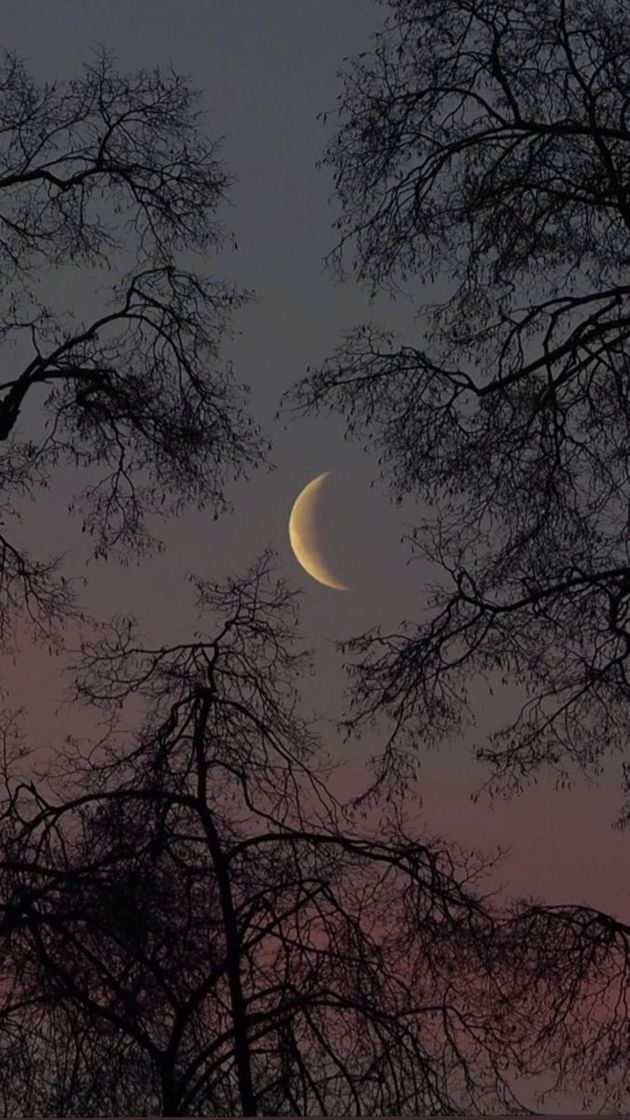 Social Fotos do céu🖼