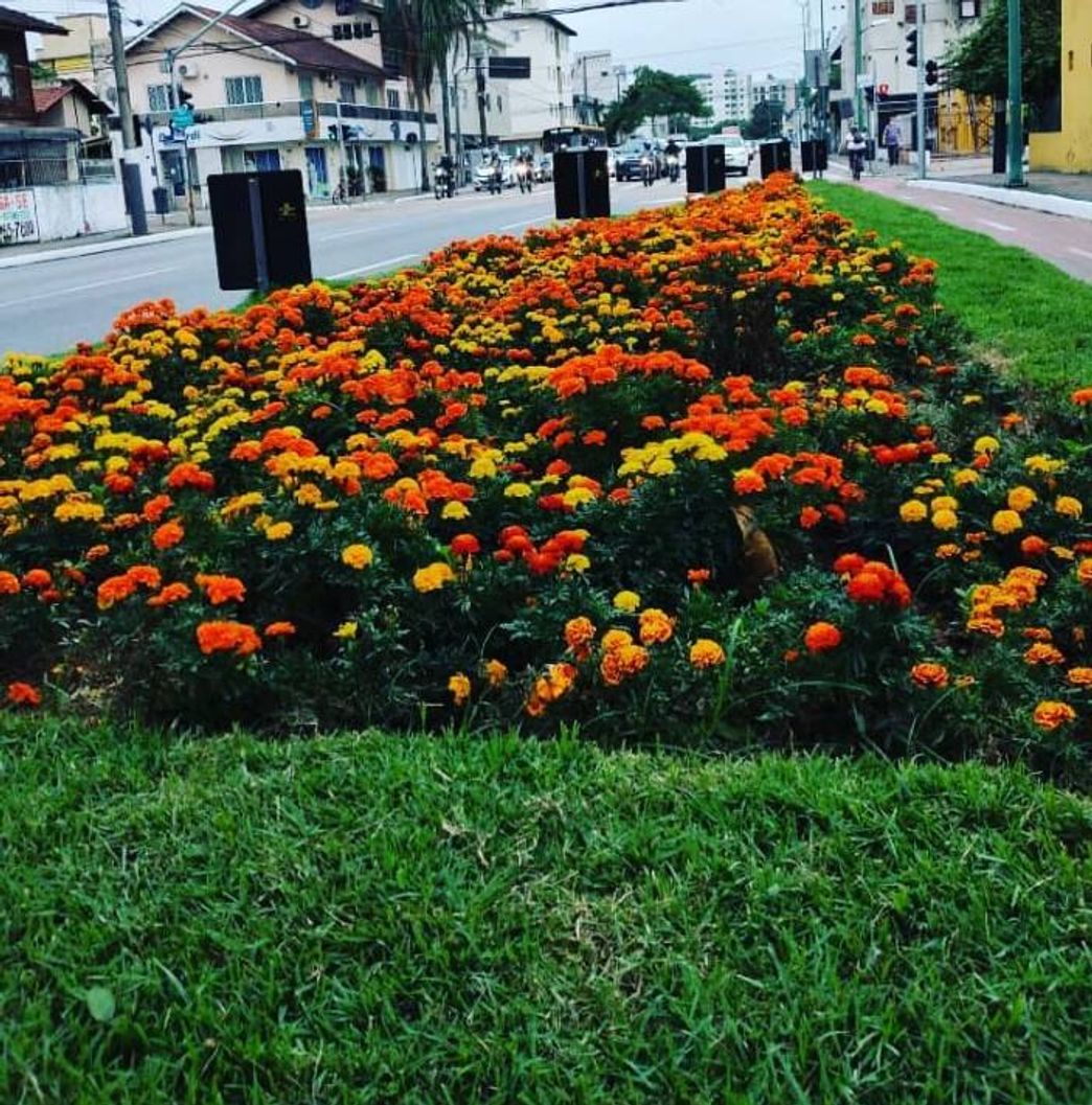 Fashion @balneario_camboriu_sc