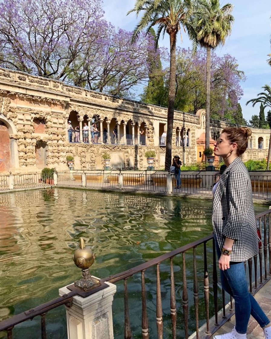 Place Real Alcázar de Sevilla