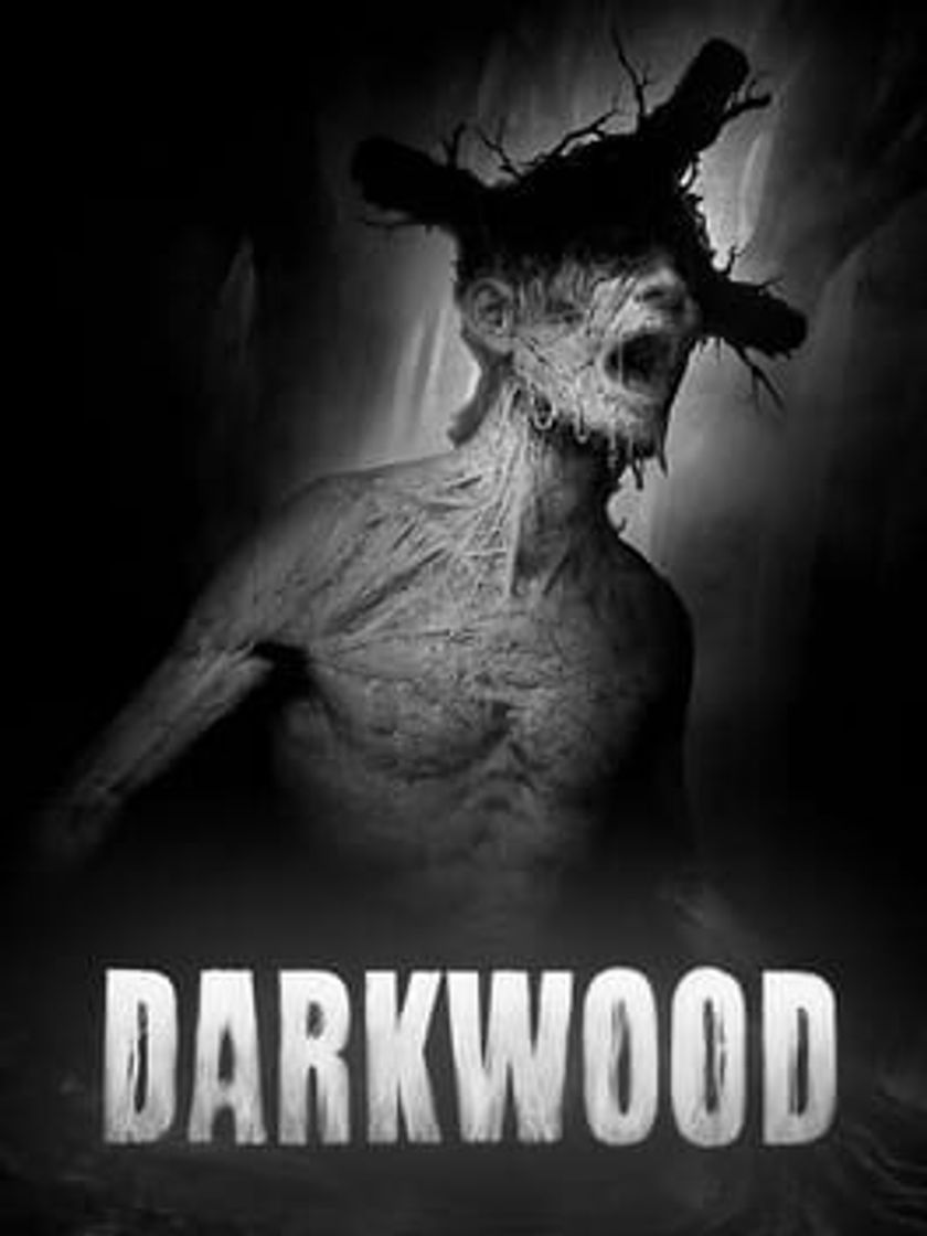 Videogames Darkwood