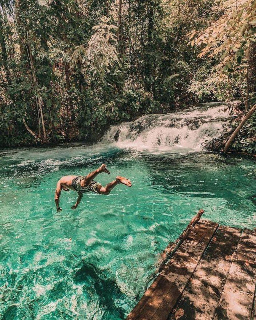 Fashion Ótimo para dar um mergulho 🏊