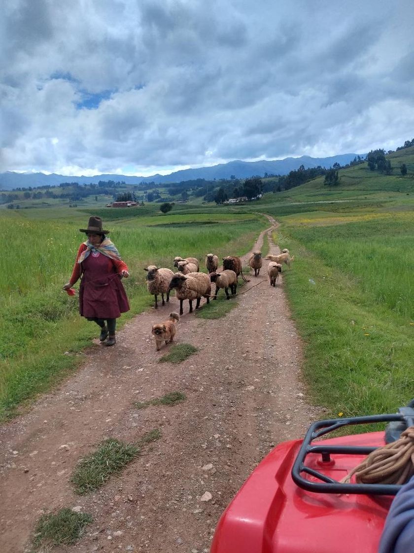 Lugar Perú