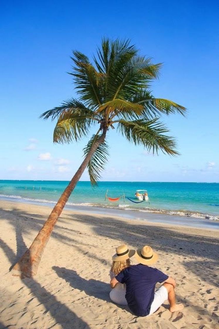Social Maragogi - Maceió 💙