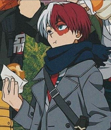 todoroki 