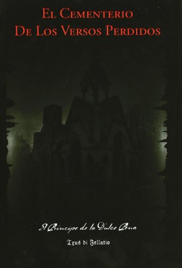 Book Cementerio De Los Versos Perdidos