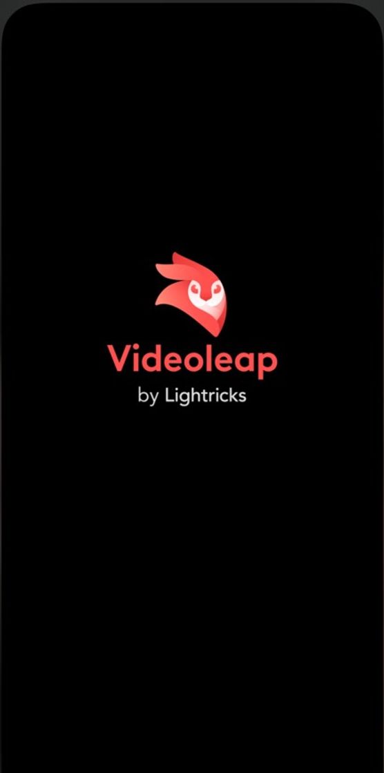 Fashion Videoleap