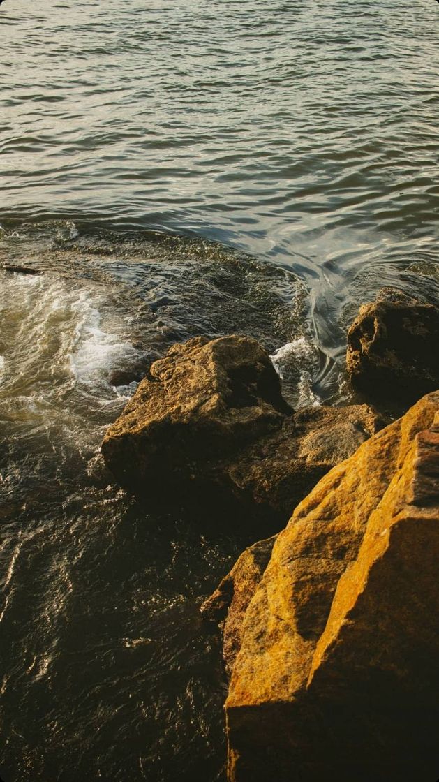 Social Wallpaper #14