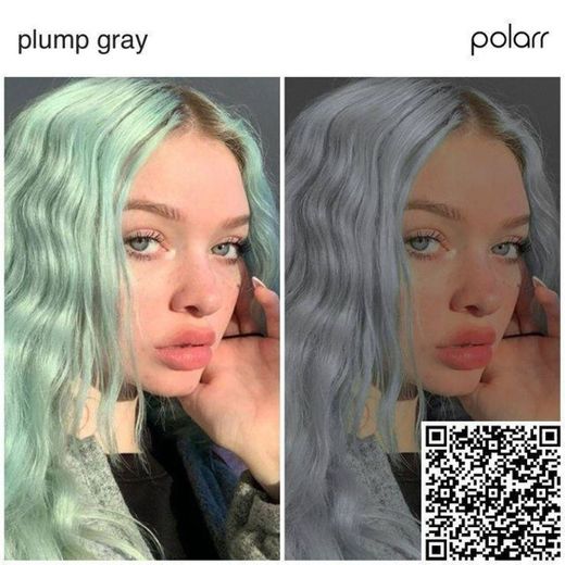 plump gray