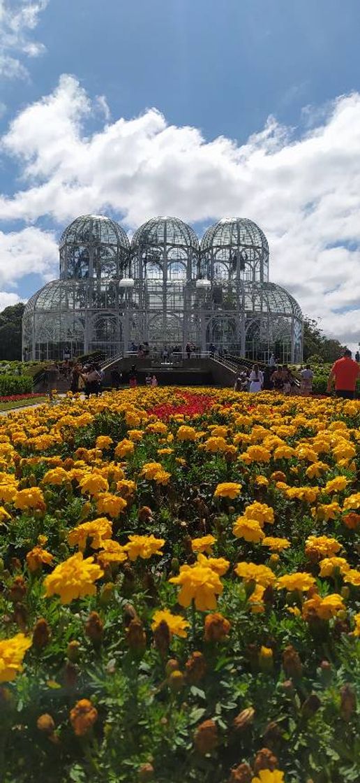 Lugar Jardim Botânico