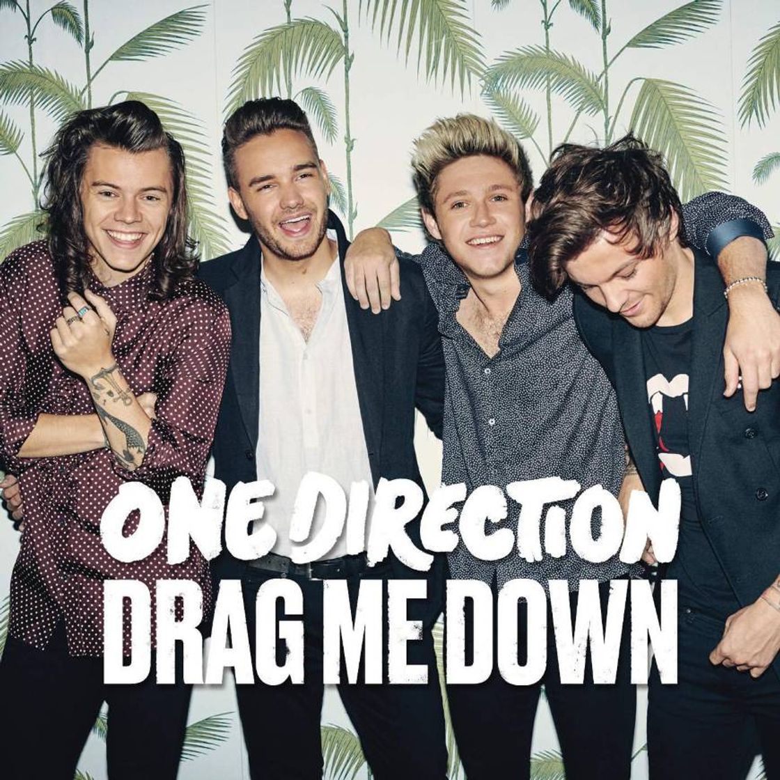 Canción One direction - Drag me Down