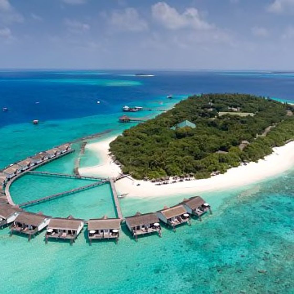 Lugar Reethi Beach Resort Maldives