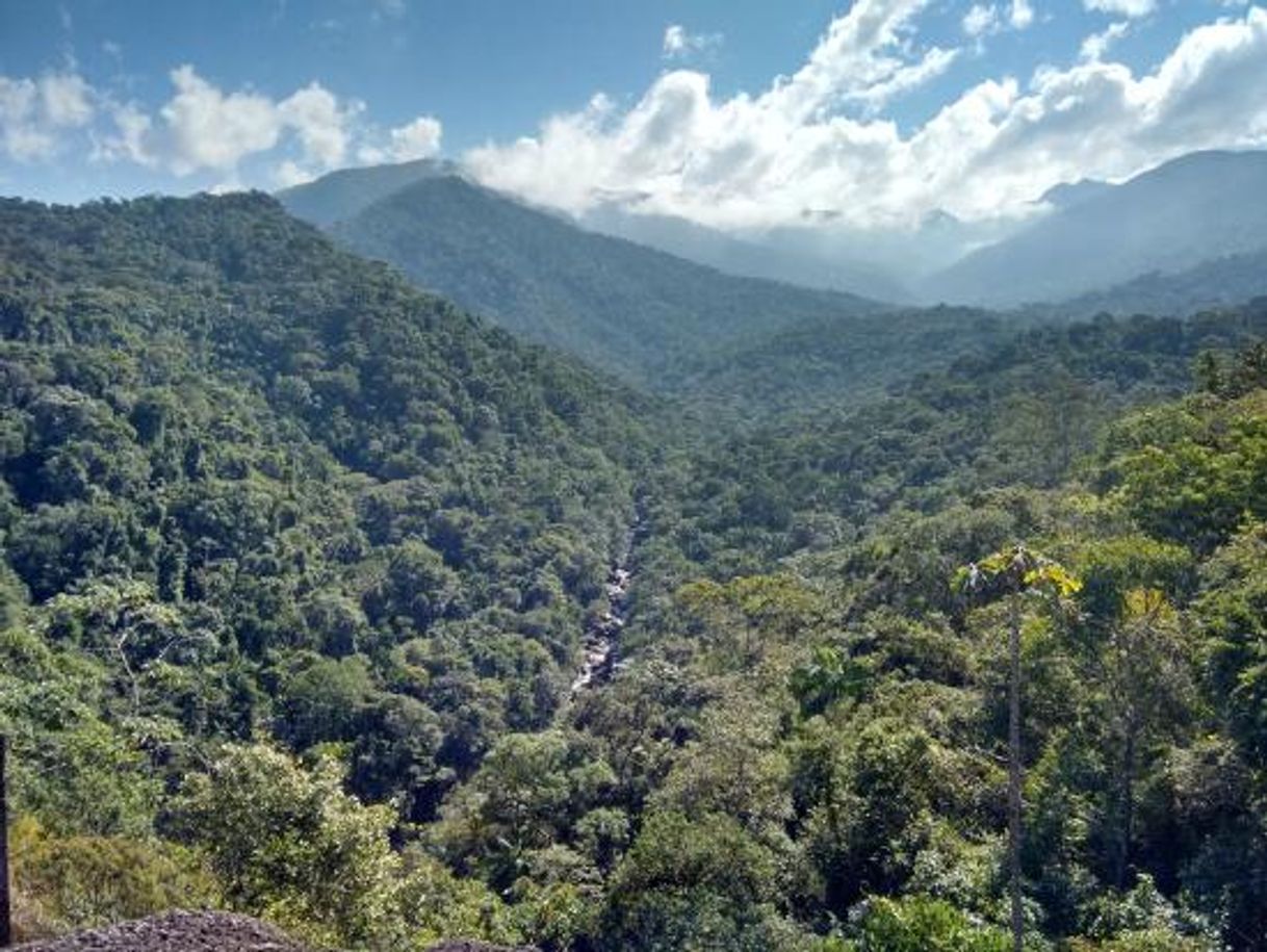 Place Parque Nacional do Itatiaia