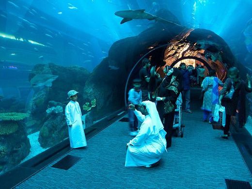 Aquarium Live Center Warsan