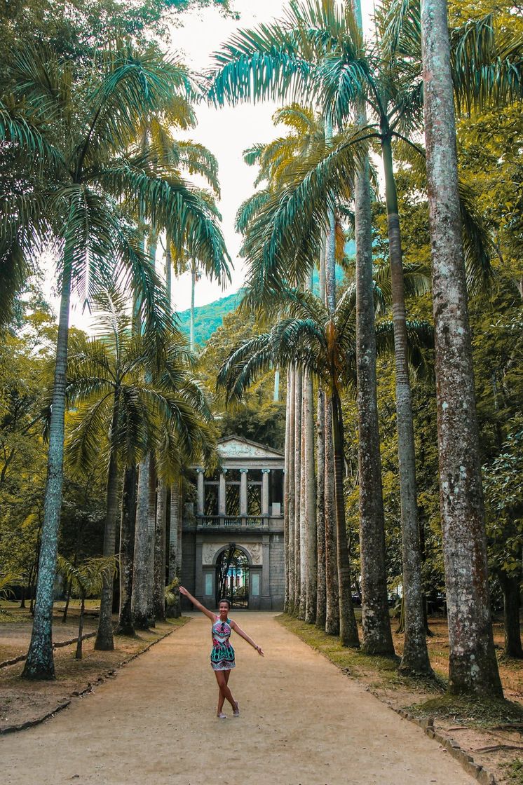 Place Jardim Botânico