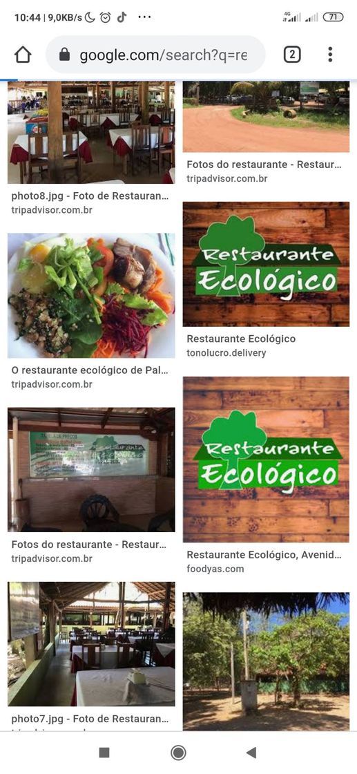 Restaurants Restaurante Ecológico