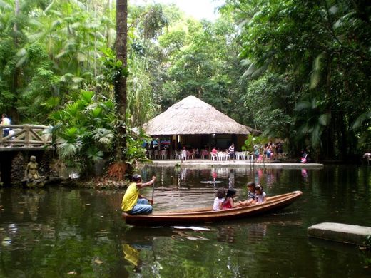 Bosque Rodrigues Alves - Jardim Zoobotânico da Amazônia