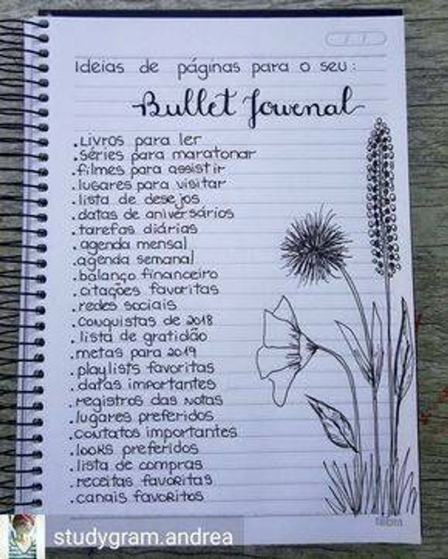 Fashion O que colocar no ballet journal 