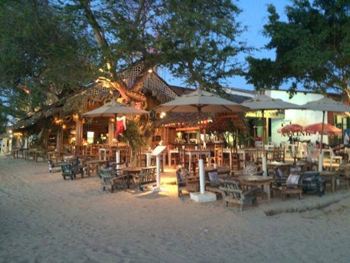 Restaurants Samba Rock Café | Praia de Jericoacoara