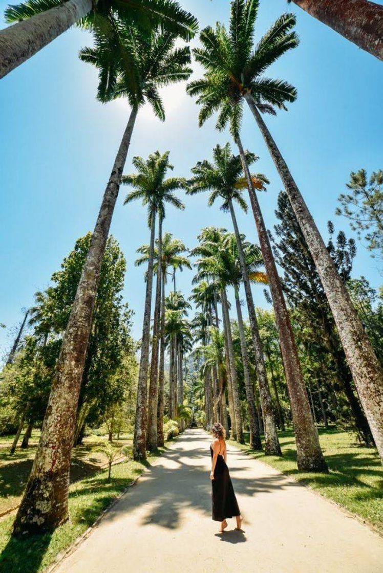 Lugar Jardim Botânico do Rio de Janeiro