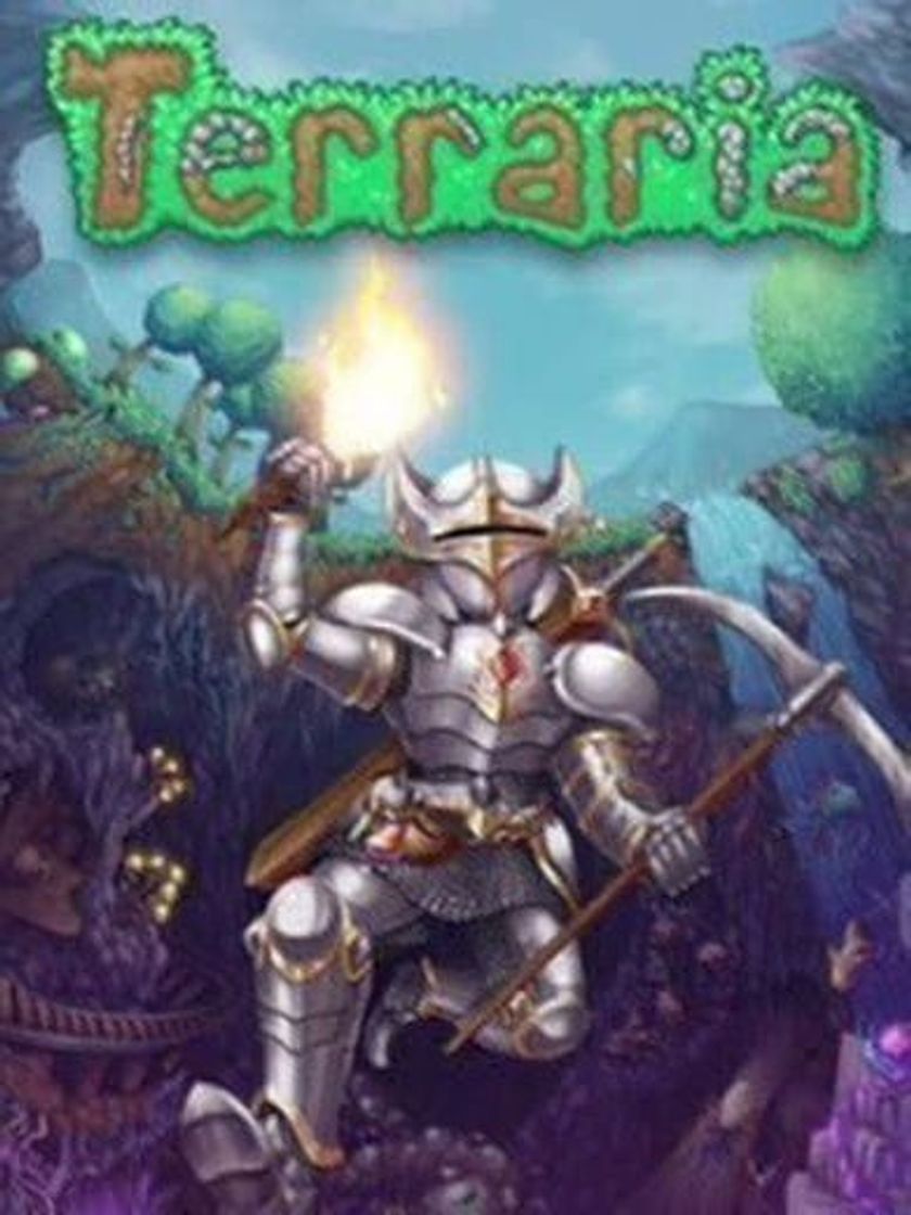Videogames Terraria