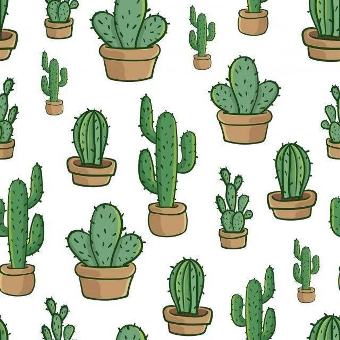 Social cacto 🌵