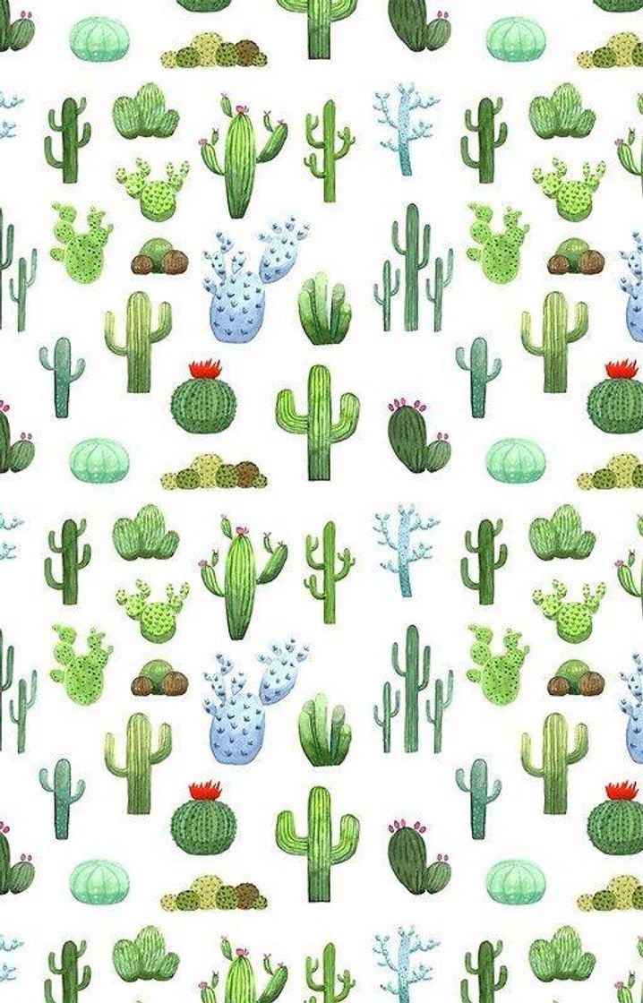 Social 🌵