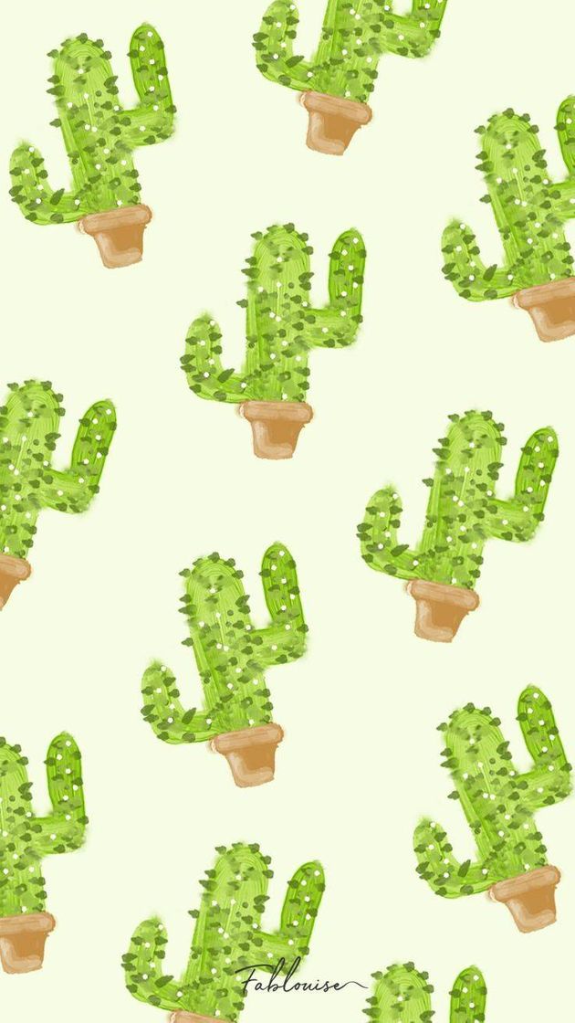 Social 🌵