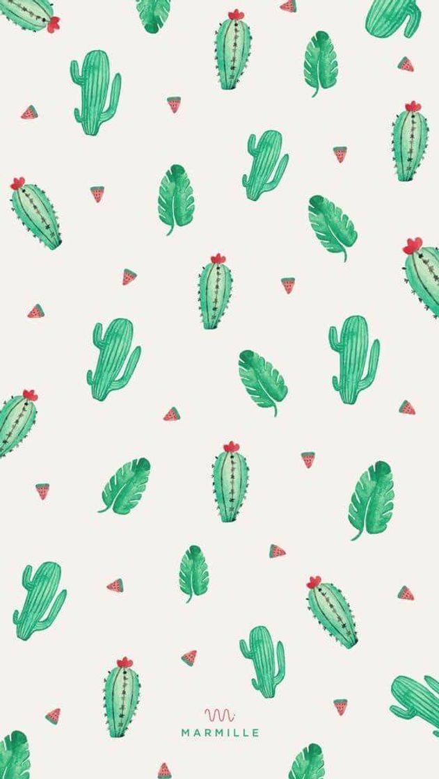Social 🌵