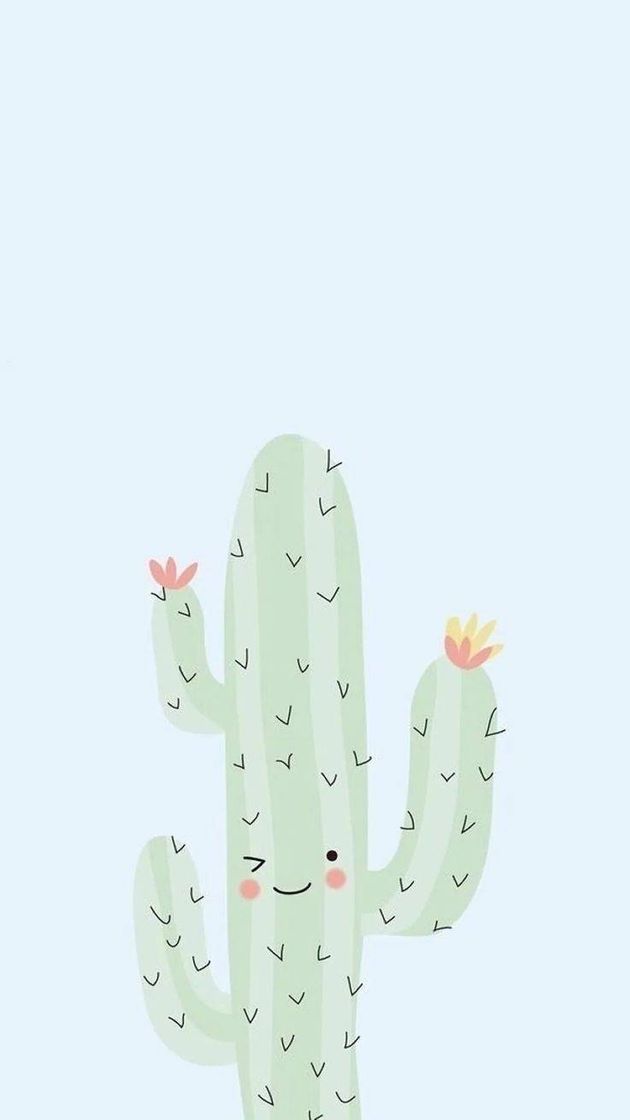 Social 🌵