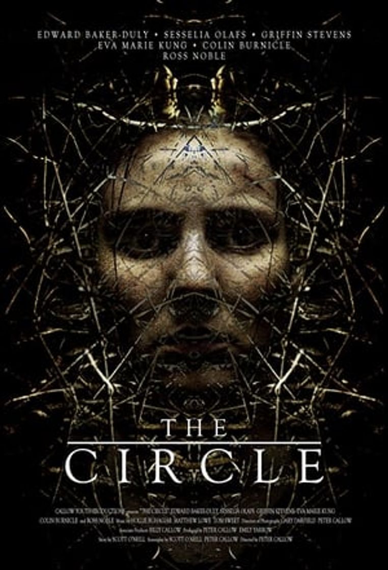 Movies The Circle