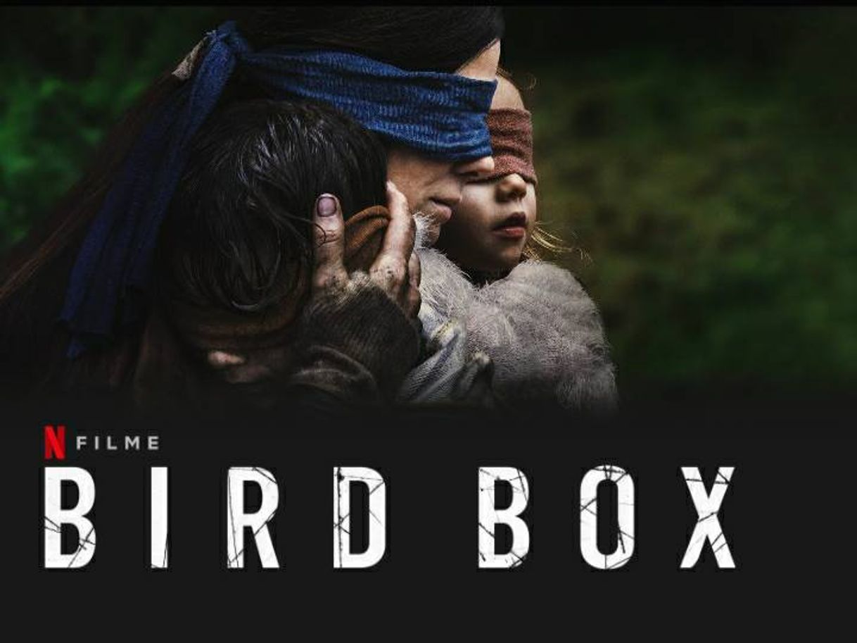 Película Bird box 