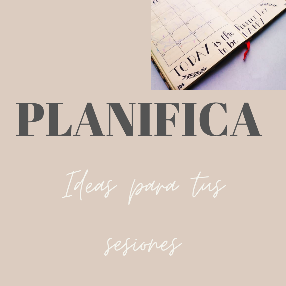Social Planifica tus actividades mensuales