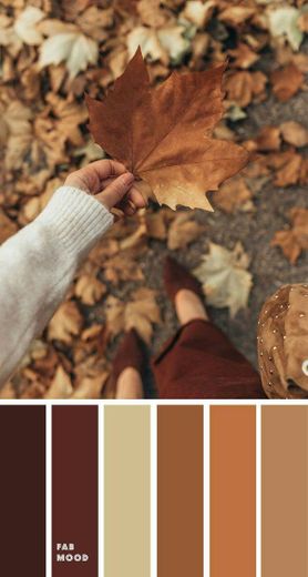Foto tumblr para fazer no outono 