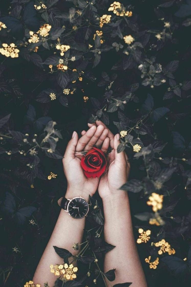 Social Inspiração tumblr