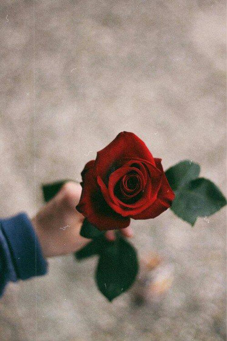 Social Rosa 😍