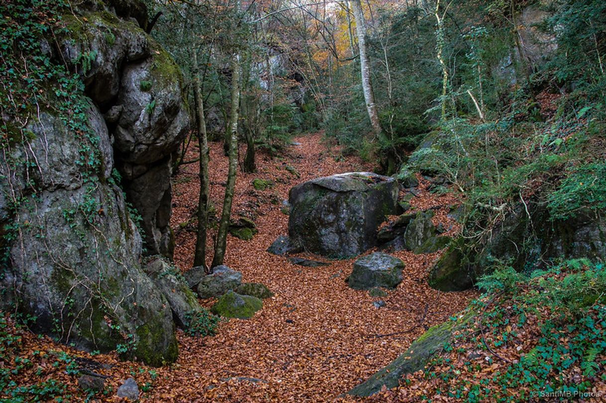 Place Els Bufadors de Beví