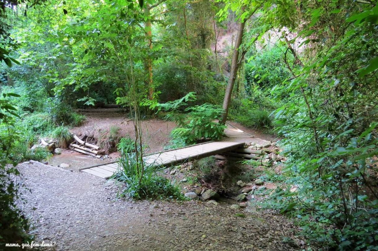 Lugar Torrent de Colobrers