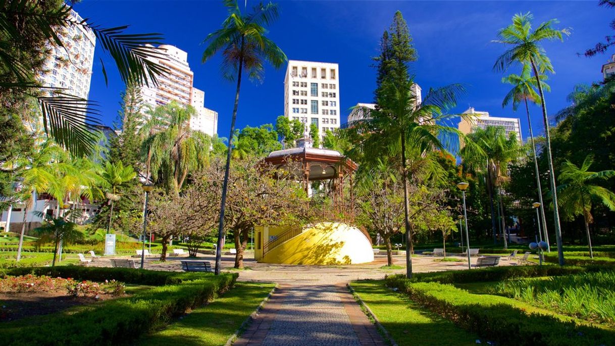 Place Parque Municipal Américo Renné Giannetti