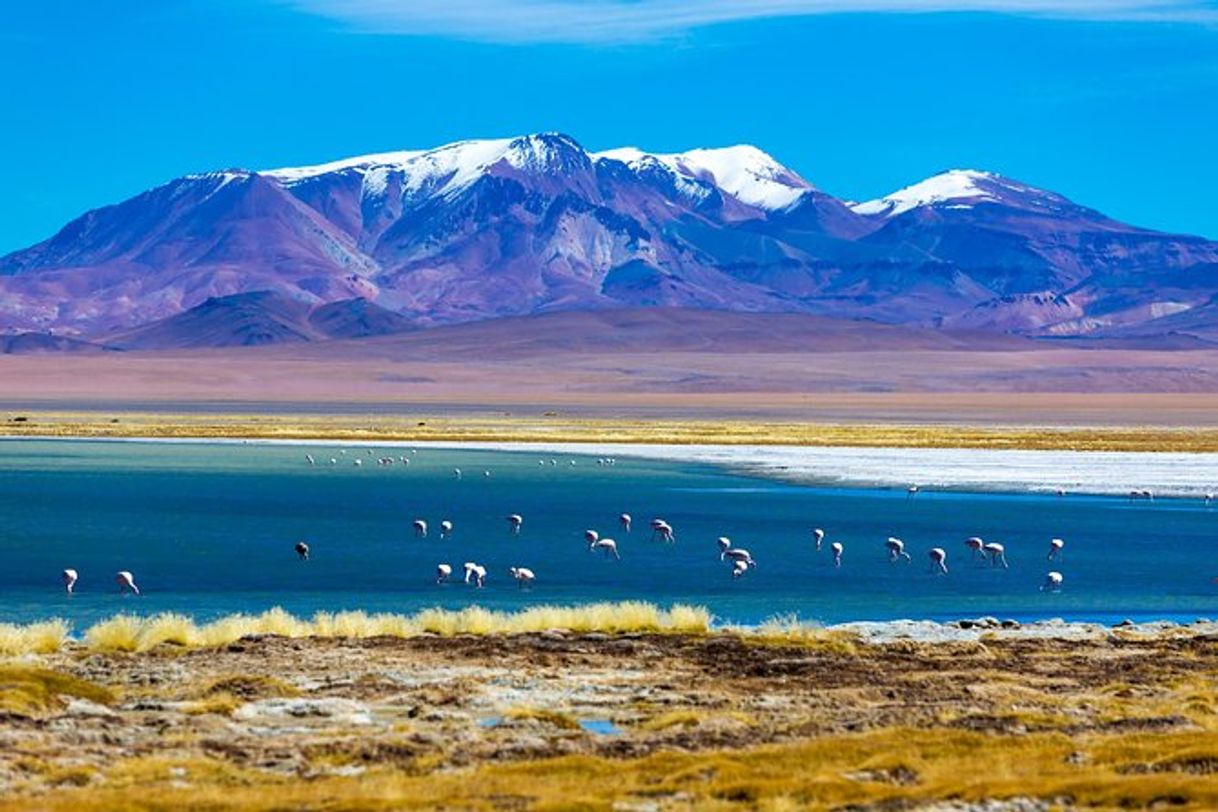 Place San Pedro de Atacama