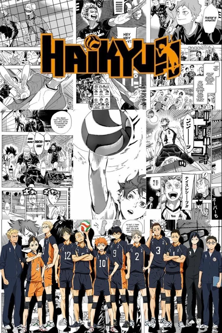 Serie HAIKYUU