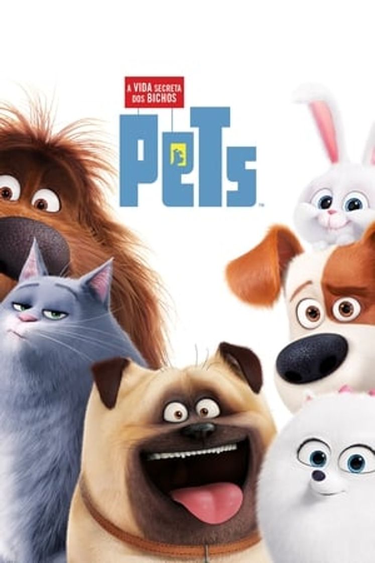 Película Mascotas