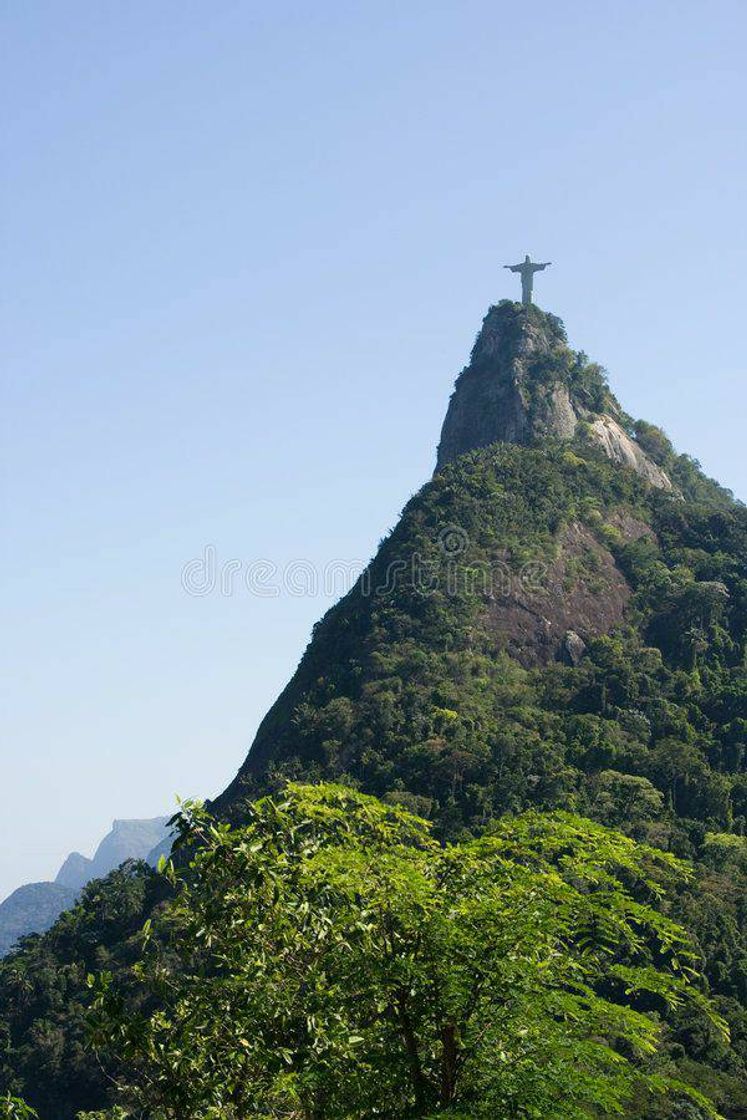 Place Corcovado 