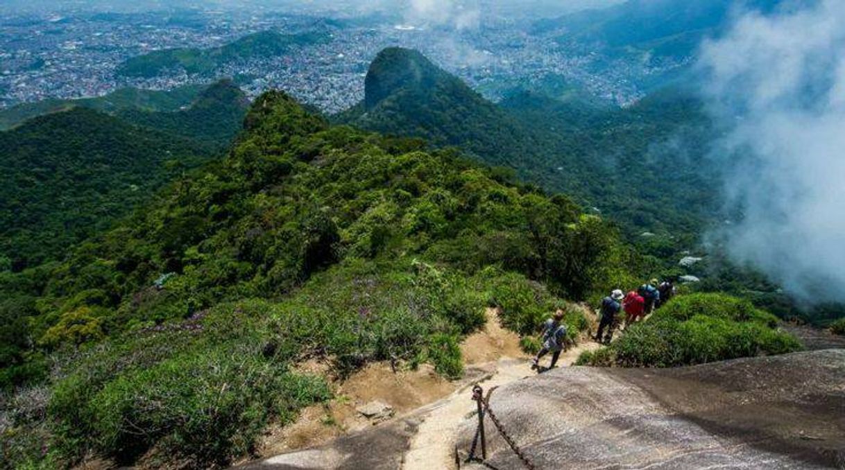 Lugar Parque Nacional da Tijuca 