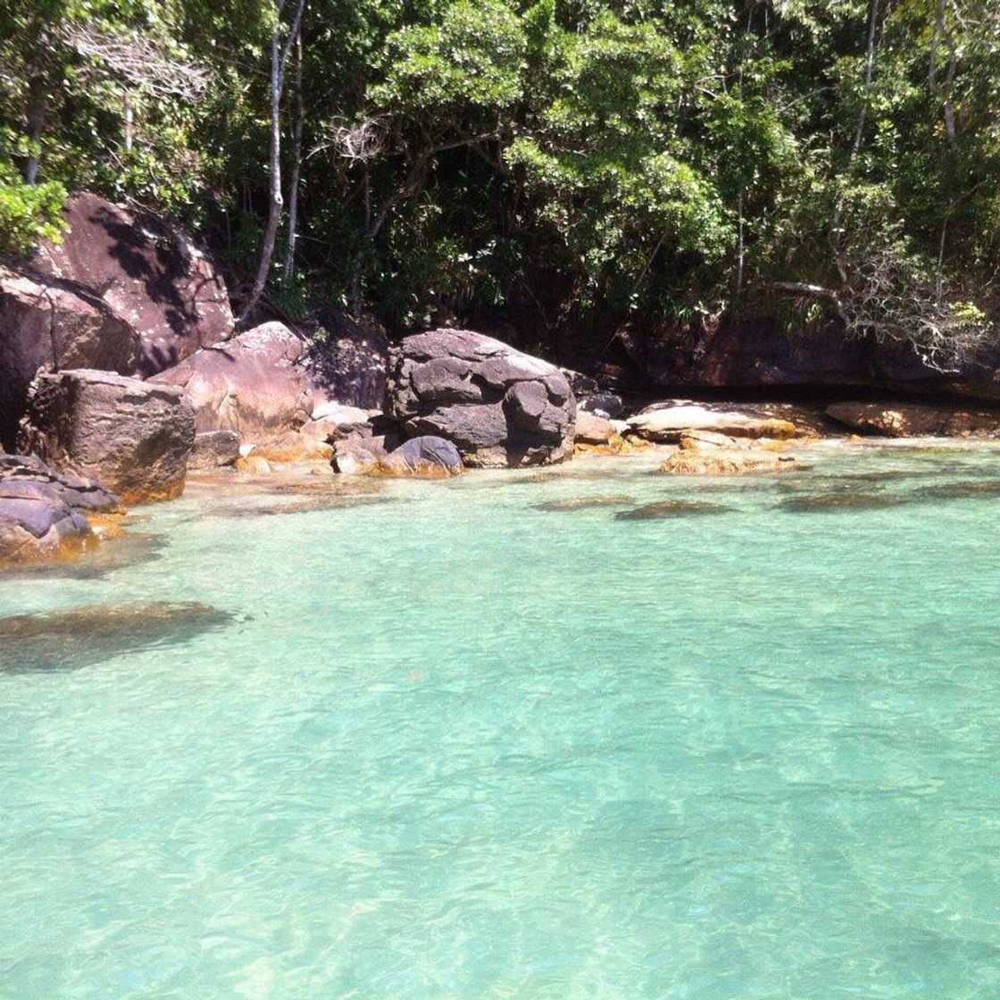 Place Ilha do Tamanduá