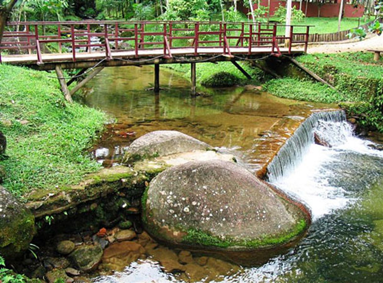 Lugar Parque Estadual Carlos Botelho