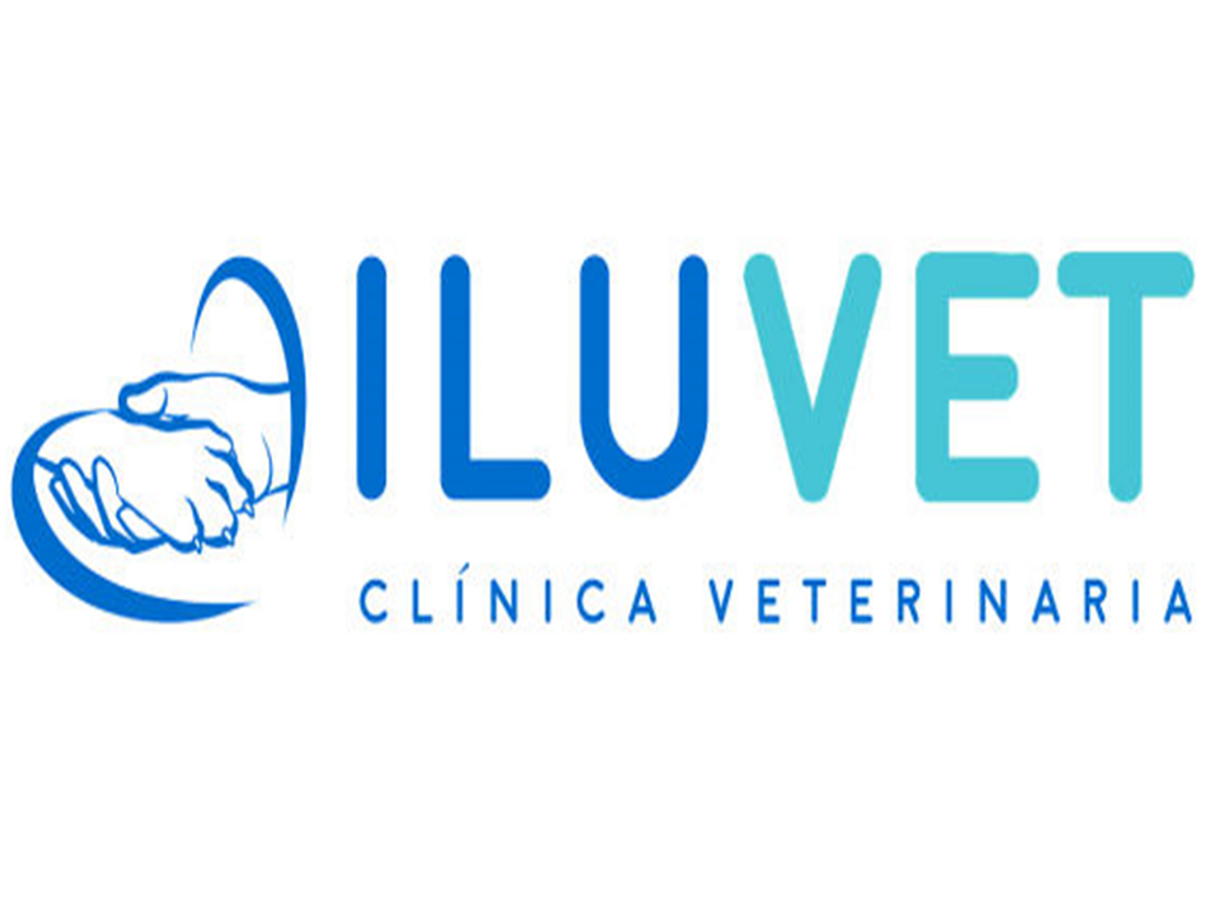 Fashion Iluvet Clínica Veterinaria